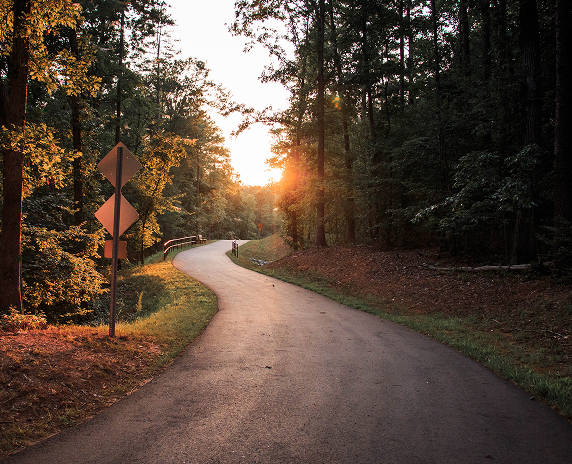 Into the woods - cheap car insurance in Georgia.