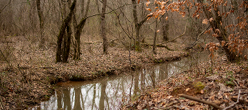 Wetlands Preserve in Douglasville - cheap car insurance in Georgia.