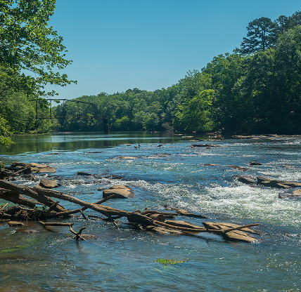 Chattahoochee river at the Jones bridge park in Georgia with some geese in the middle and a few people fishing in the background near the rusted exempt railroad bridge on a sunny day in springtime.
