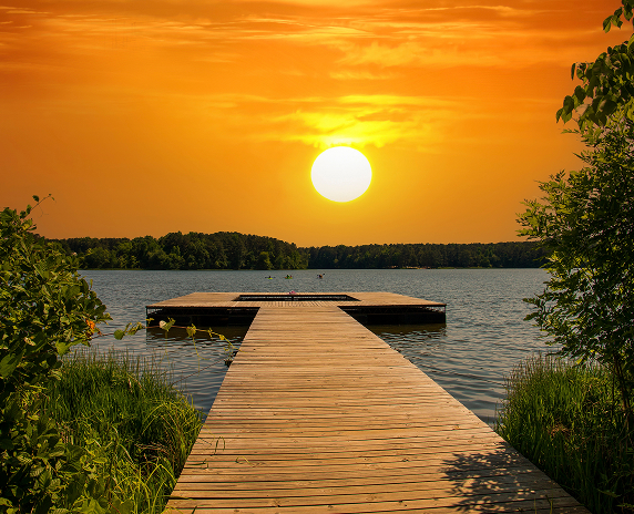 Calm shoreline view of Lake Acworth with water, trees, and nearby park surroundings in Acworth, Georgia