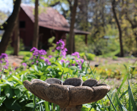 Bird bath in springtime with old barn in background. Green Meadows Preserve. Powder Springs, Georgia. Cheap car insurance in Georgia.
