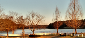 Shores of Lake Allatoona, Georgia, near Winder.
