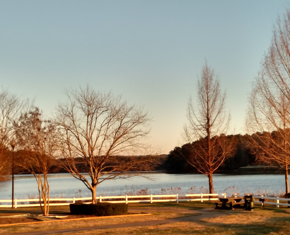 Shores of Lake Allatoona, Georgia, near Winder.